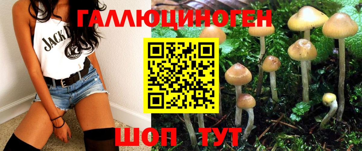 как найти закладки  Вход с VPN  Галлюциногенные грибы ЛСД  Дербент  Галлюциногенные грибы GOLDEN TEACHER 